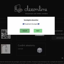 „Susținem Europa” sau citiți în chirilică? Pe pagina dexonline sunt afișate „sondaje” și mesaje cu tentă electorală
