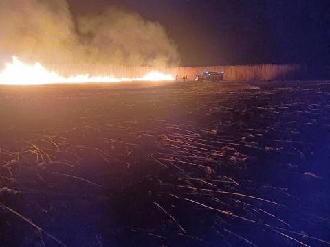 Peste 10 hectare de stufăriș distruse, în urma unui incendiu de vegetație din Lunca Prutului. Avertizările autorităților