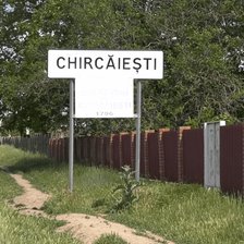 Căușeni: Un copil de cinci ani a ajuns la spital în stare gravă, după ce a fost mușcat de un câine