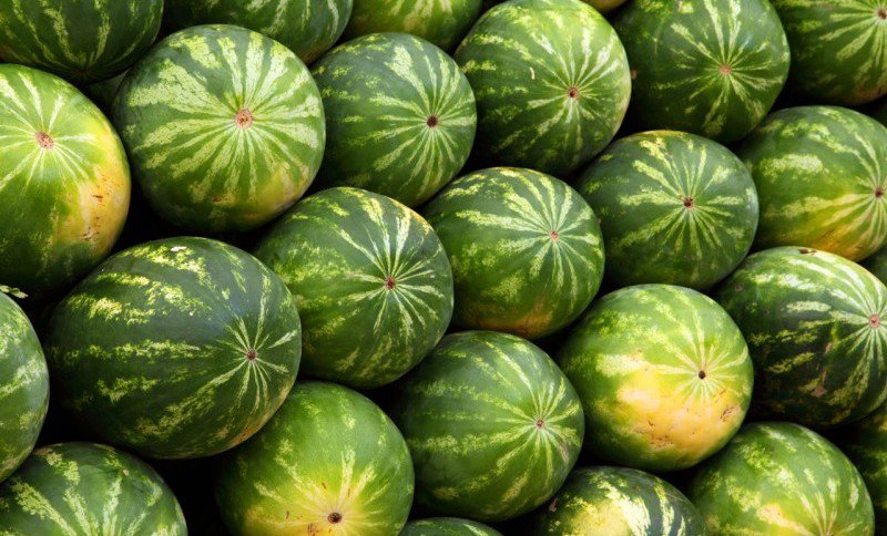 Alertă alimentară în toată Uniunea Europeană din cauza unor pepeni contaminați