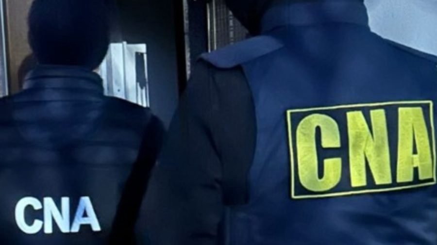 Ar fi prejudiciat bugetul mun. Bălți cu sute de mii de lei. Ex-directorul unui centru de adăpost pentru animale, reținut de CNA