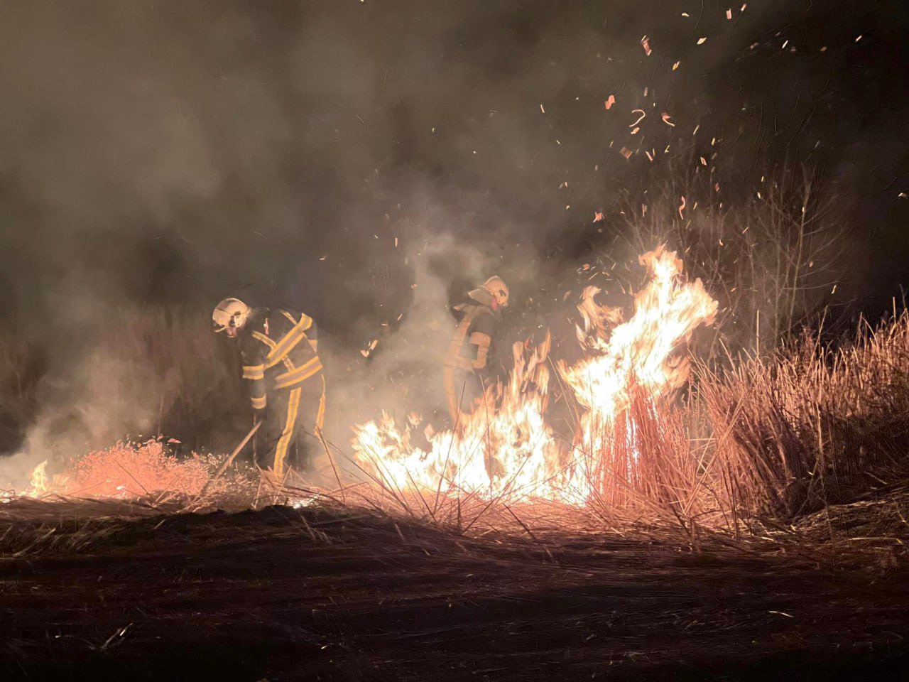 „Sindromul curățeniei de primăvară”: 600 de ha de teren a ars într-o săptămână. Apelul președintei Maia Sandu