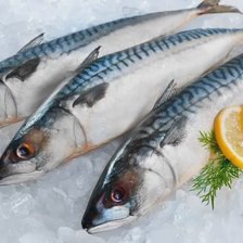 Osmochescu, despre scumpirea macroului: „Statul nu poate interveni asupra prețurilor la raft. Suntem o economie de piață” (VIDEO)