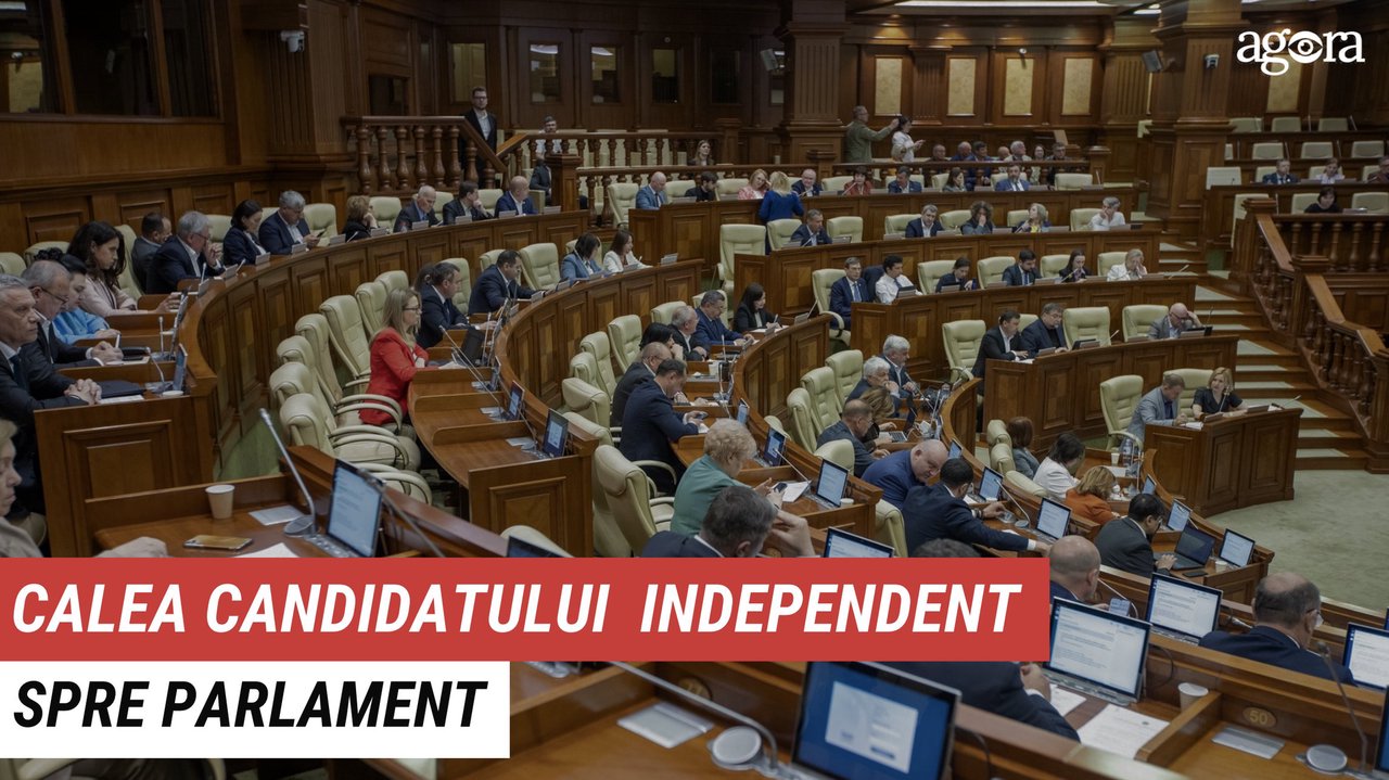 Pe cont propriu: Cum să ajungi parlamentar, dacă vrei să candidezi independent 