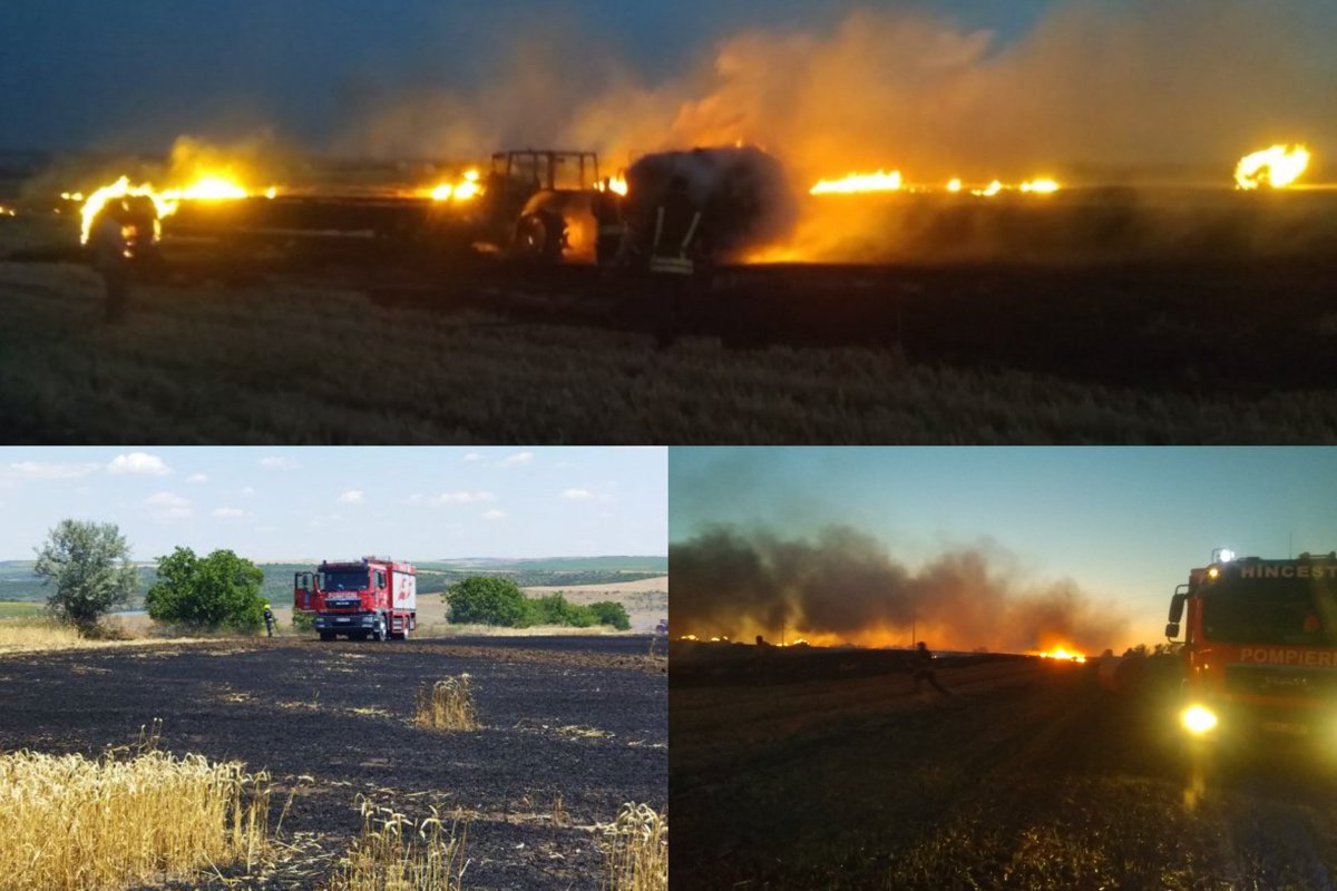 Căldurile fac ravagii: 47 de hectare de cereale și miriște, mistuite de flăcări în 24 de ore