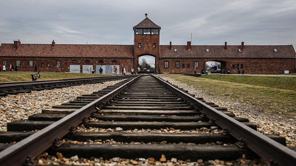 Holocaust: Cum mașinăria nazistă a morții măcina milioane de vieți umane
