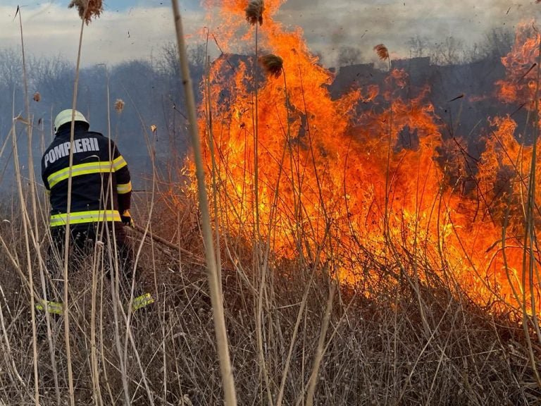 Chișinău: Incendiu de vegetație, la Botanica. La fața locului, cinci echipaje IGSU (UPDATE)