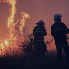 Incendii forestiere în Balcani. Zeci de case și mii de hectare de pădure distruse (VIDEO)