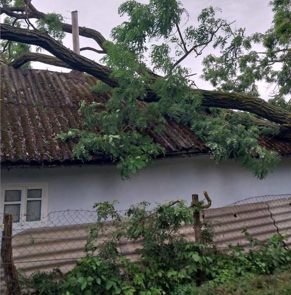 Ploile fac ravagii: Sute de ha de terenuri agricole distruse și zeci de clădiri, rămase fără acoperiș (FOTO)