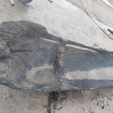 Descoperire spectaculoasă. În Nistru a fost găsită o barcă care ar putea avea sute sau chiar o mie de ani (FOTO)