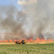 Incendiu în Comrat. Arde vegetația din apropierea unei vinării (VIDEO)