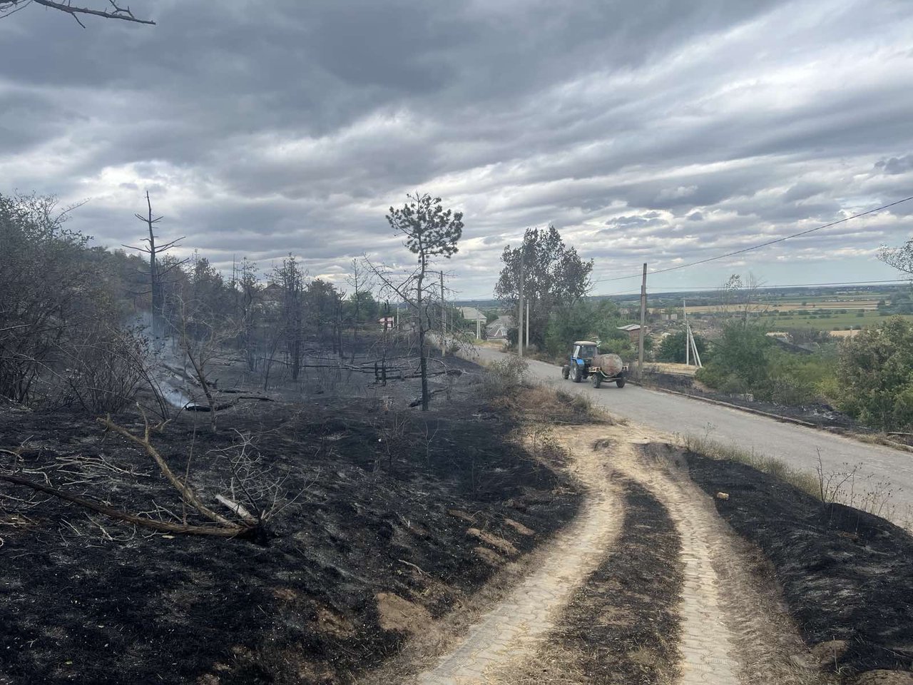 Incendiul de la pădurea de lângă Copanca: 10 ha de teren cu vegetație uscată, distruse. Flăcările au afectat și două gospodării