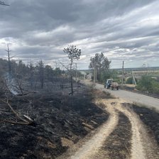 Incendiul de la pădurea de lângă Copanca: 10 ha de teren cu vegetație uscată, distruse. Flăcările au afectat și două gospodării