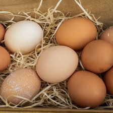  De ce ouăle nu trebuie spălate înainte de a fi puse la frigider
