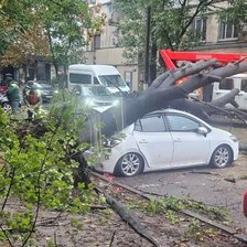 Consecințele ploii: Un copac s-a prăbușit peste o mașină la Ciocana 