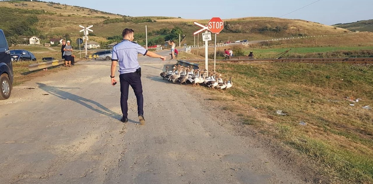 Fără câini prin sat sau mașini parcate la poartă. Restricțiile aplicate în satul Chetrosu pe perioada Summitului CPE