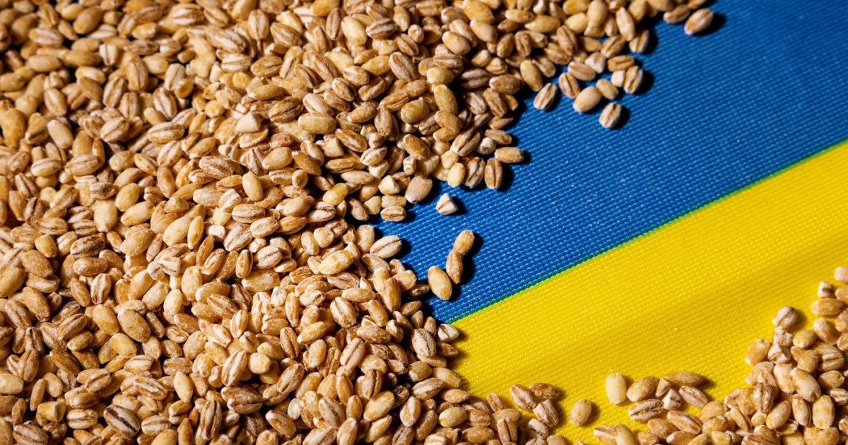 Asociația Forța Fermierilor cere Guvernului să urgenteze luarea deciziei de interzicere a importului cerealelor din Ucraina: Întârzie nepermis de mult