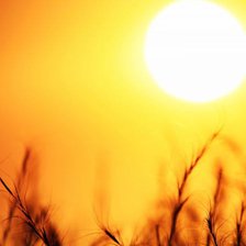 Cod galben și portocaliu de caniculă. Se așteaptă temperaturi de până la +38°C
