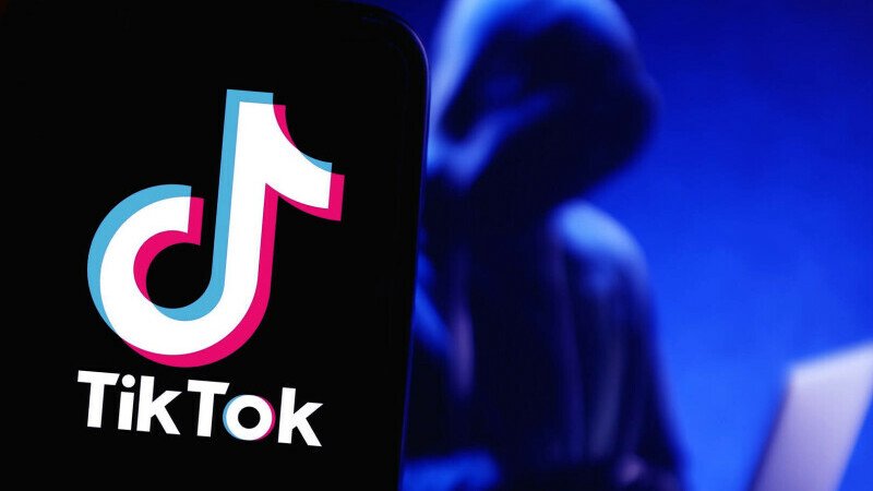 „Nu tot ce vezi pe internet este adevărat”. Poliția atenționează despre campanie de dezinformare pe TikTok
