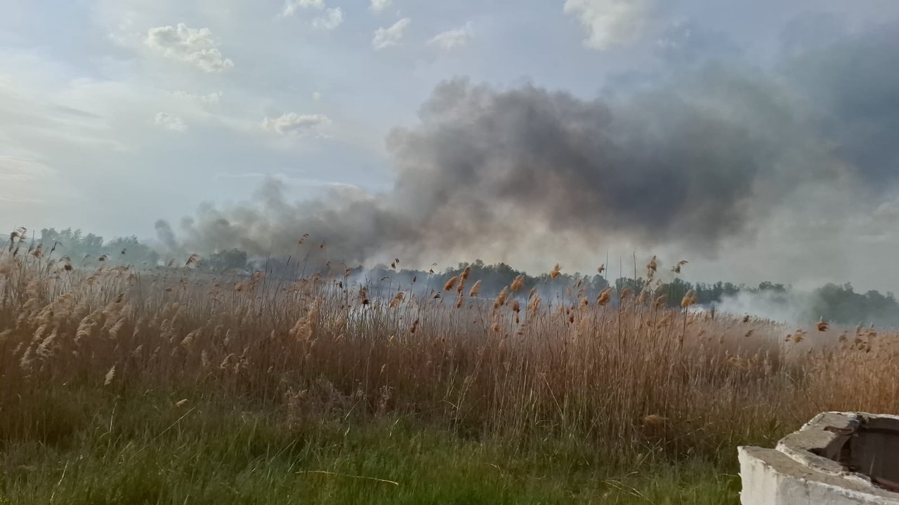 Incendiu extins pe 30 de hectare lângă rezervația „Prutul de Jos”. Pompierii au luptat cu flăcările preț de cinci ore