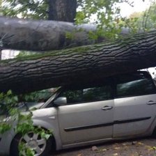 Chișinău: Peste o sută de accidente rutiere și copaci doborâți. Consecințele ploilor de lungă durată 