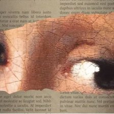 „Cartea Anului” la Barnes & Noble: ce titlu a convins librarii înaintea criticilor