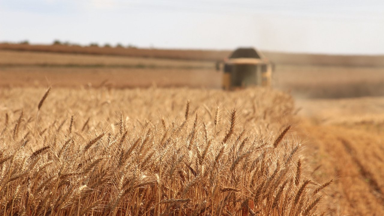 Problema grânelor din Ucraina. Explicăm deciziile UE cu privire la tranzitul cerealelor, efectul asupra pieței și ce riscuri pasc Moldova în această situație