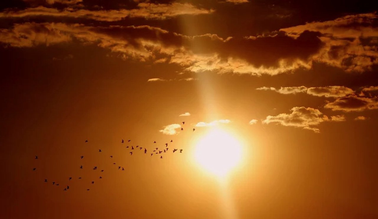 Cod galben de caniculă emis pentru toată țara: până la 35°C pe 4 iulie (UPDATE)

