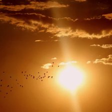 Cod galben de caniculă emis pentru toată țara: până la 35°C pe 4 iulie (UPDATE)

