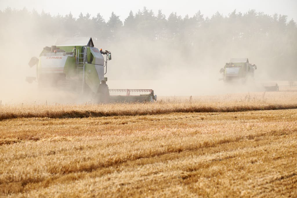 Kievul susține că va da în judecată Polonia, Ungaria și Slovacia din cauza menținerii restricțiilor de import a cerealelor ucrainene

