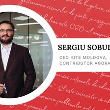 Optimizarea durabilă. Navigarea schimbărilor sociale în Era Digitală