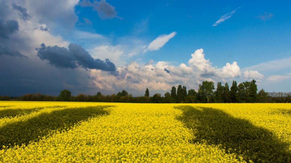Слава Україні! Mesaje din partea oficialilor de Ziua Independenței Ucrainei 