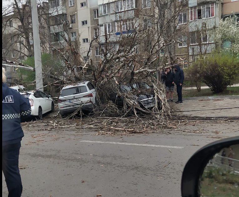 Copaci doborâți, acoperișuri smulse și automobile avariate:  Vântul  puternic face ravagii (FOTO)