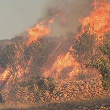 Grecia: Mii de oameni evacuați din cauza noilor incendii de vegetație