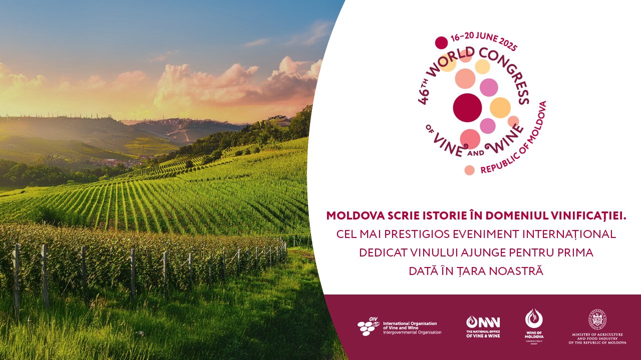 Moldova scrie istorie în domeniul vinificației. Cel mai prestigios eveniment internațional dedicat vinului ajunge pentru prima dată în țara noastră
