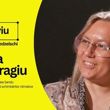 „Noi nu creștem pădure pentru lemne”. Despre ecologia R. Moldova, interviu cu Iuliana Cantaragiu, consiliera prezidențială în domeniul mediului (VIDEO)