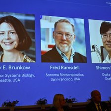 Premiul Nobel pentru Medicină 2025, acordat pentru descoperirea „gardienilor” sistemului imunitar. Trei laureați vor împărți 11 milioane de coroane suedeze