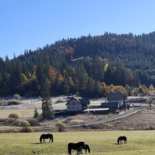 Beneficiile privitului spre orizont pentru sănătatea mintală