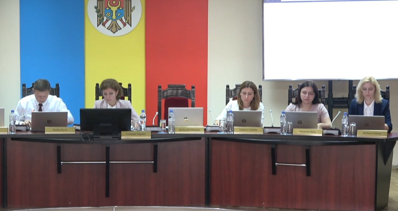 CEC a examinat sesizările pe numele lui Lilian Carp. Ce au decis membrii Comisiei