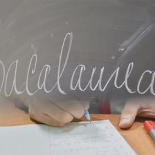 Bacalaureat 2025:  Examenele naționale început cu proba la Limba și literatura română pentru liceenii alolingvi


