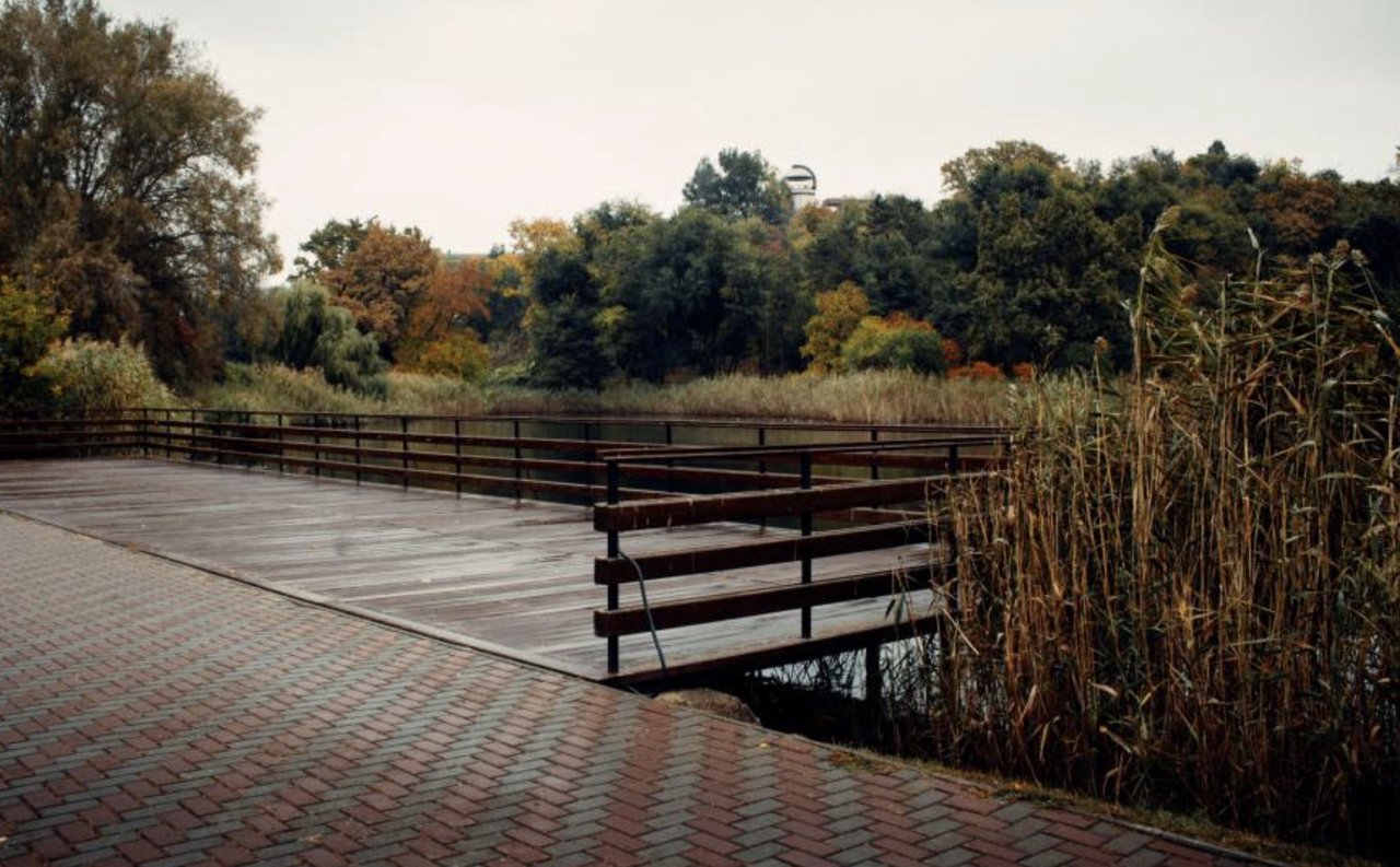 Cadavrul unei tinere, depistat în lacul din parcul Dendrariu 