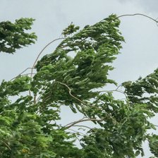 Avertizare meteo: Cod galben de intensificări ale vântului