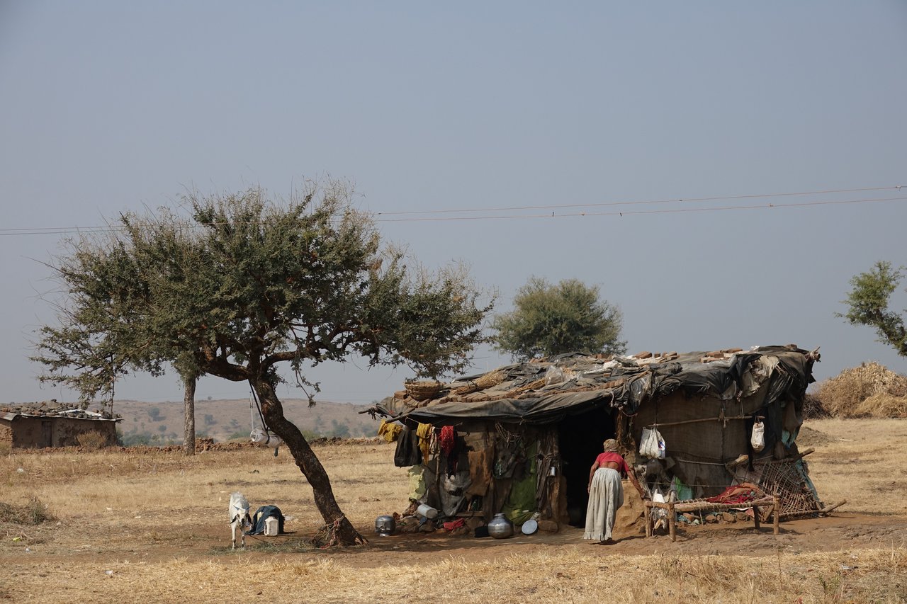 Statele Unite declară genocid în Sudan: Forțele paramilitare R.S.F., acuzate de atrocități etnice