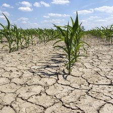 R. Moldova, printre țările cele mai vulnerabile la schimbările climatice. ONU lansează o campanie pentru adaptare și reziliență