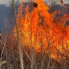 Pericol de incendiu: Mercurul din termometre ar putea urca până la +38°C