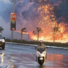 Incendii de proporții în apropierea Ierusalimului. Ambasada R. Moldova îndeamnă la prudență cetățenii aflați în Israel