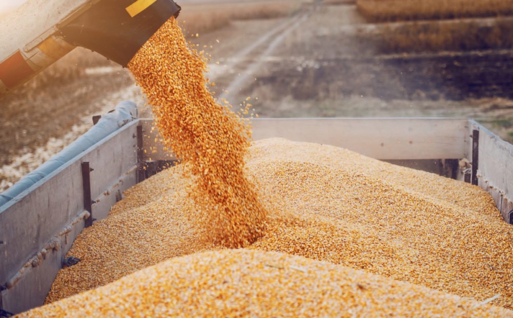 R. Moldova nu impune, la această etapă, restricții la importul cerealelor din Ucraina. Soluția anunțată de ministrul Agriculturii