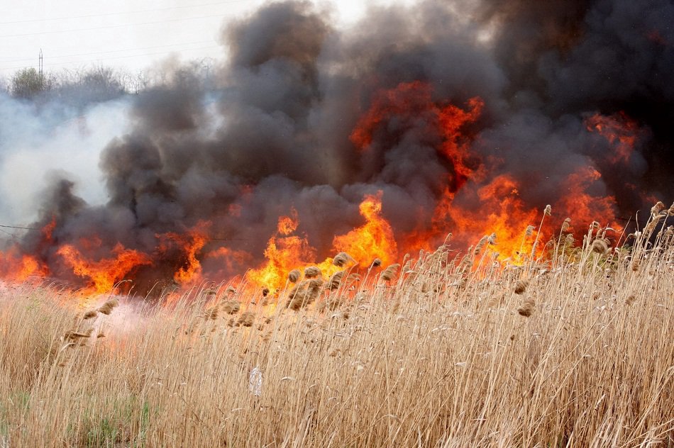 Alertă meteorologică: Pericol de incendiu și cod galben de caniculă