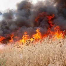 Alertă meteorologică: Pericol de incendiu și cod galben de caniculă