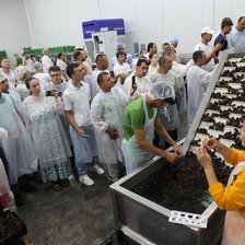 Tehnologiile care sporesc exporturile de producție agricolă | În Găgăuzia a fost prezentată prima linie de calibrare și sortare a cireșelor